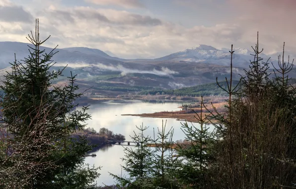 Picture trees, landscape, mountains, lake, Scotland
