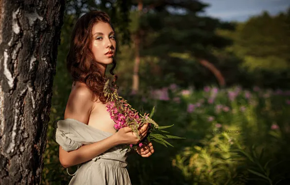 Picture look, girl, flowers, nature, tree, dress, trunk, brown hair