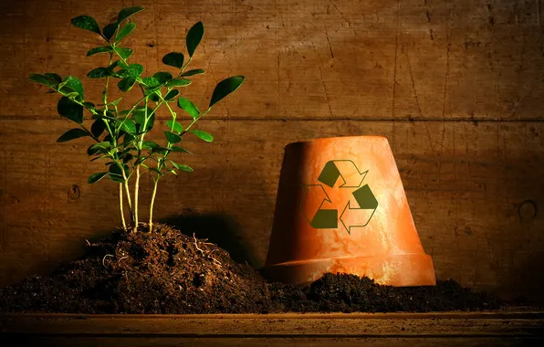 Picture EARTH, BASKET, PLANT, ICON, URN, GARBAGE, POT