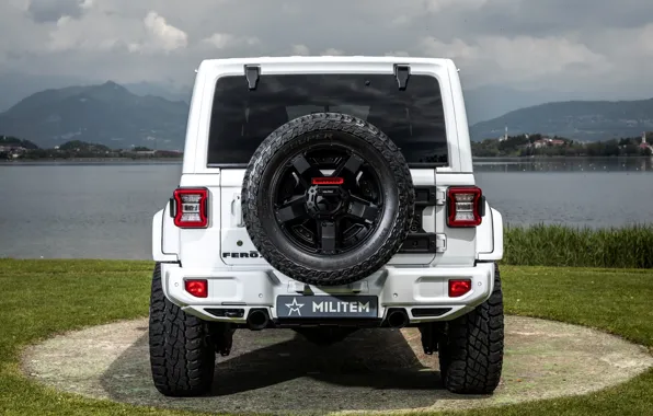 Rear view, Wrangler, Jeep, Unlimited, 2019, Soldier, Ferōx