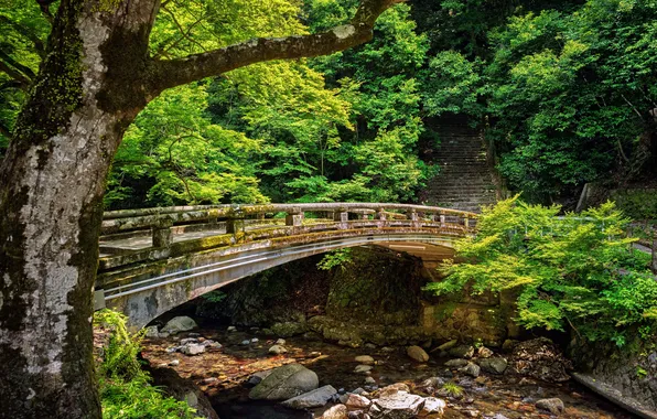 Greens, trees, river, stones, Japan, Japan, River, Minoh Bridge