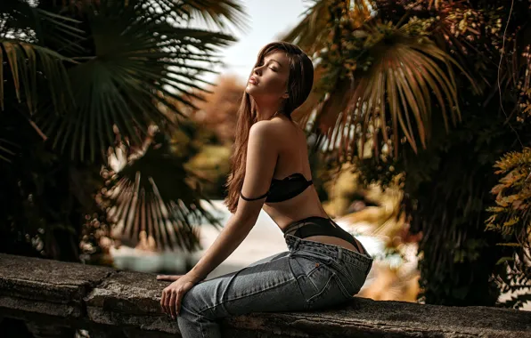 Pose, palm trees, model, panties, jeans, makeup, figure, hairstyle