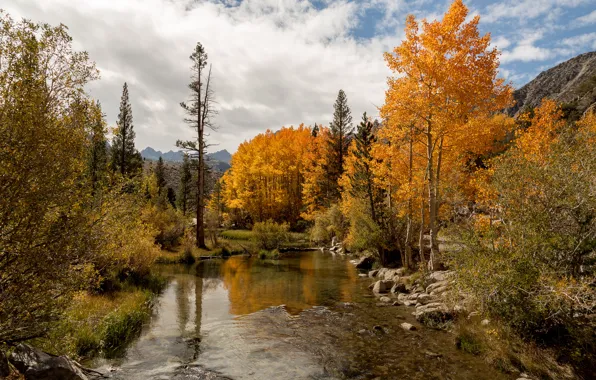 Picture autumn, CA, lake Sabrina Inyo Sierra Nevada