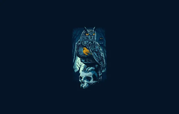 Sake, bird, Owl, cage