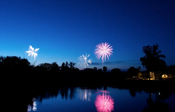 Picture night, the city, darkness, holiday, salute, celebration