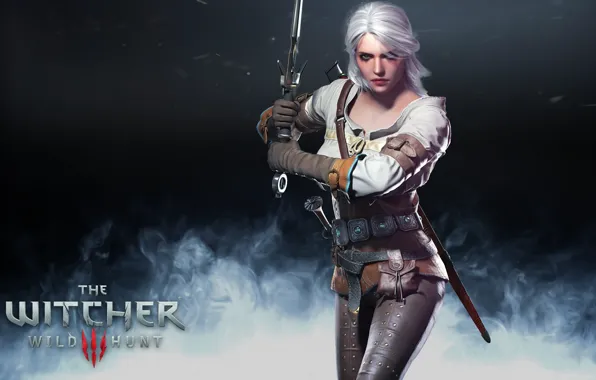 Picture the witcher, the Witcher, wild hunt, ciri