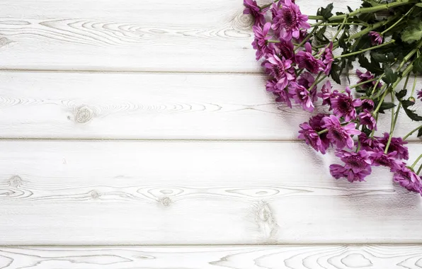 Flowers, bouquet, chrysanthemum, wood, flowers, purple
