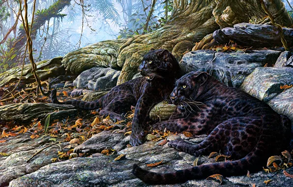 Leaves, trees, thickets, stay, black, figure, two, picture