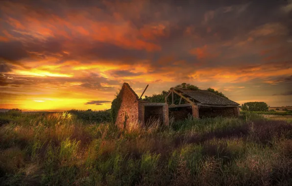 Field, sunset, house, abandoned, ruins