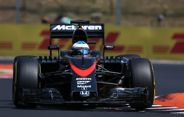 Picture McLaren, Profile, Formula 1, Fernando Alonso, MP4-30