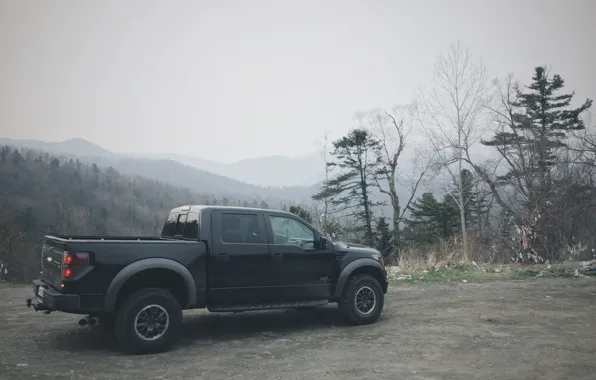 Car, machine, forest, SUV, ford, Ford, raptor, pickup