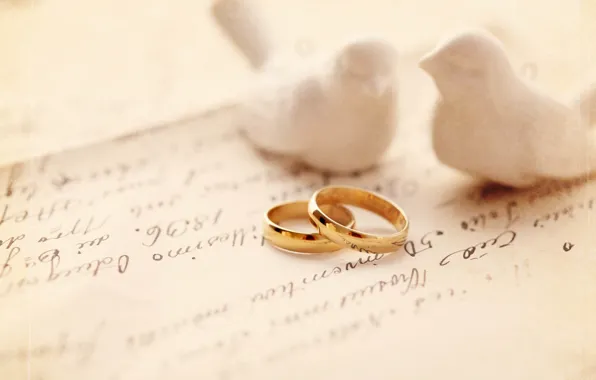 Pair, wedding, engagement rings, dove