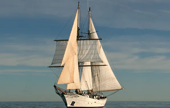 Ship, sailing, clipper