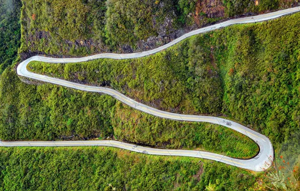 Picture road, mountains, serpentine, Brazil, Santa Catarina, Serra do Rio do Rastro