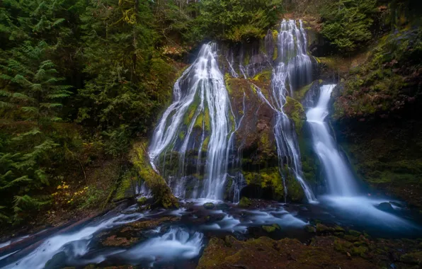 Photo, Nature, Rock, Moss, USA, Waterfalls, Panther Creek Falls, Gifford Pinchot