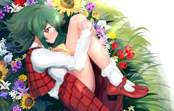 Flowers, anime, art, girl, touhou, kazami yuuka
