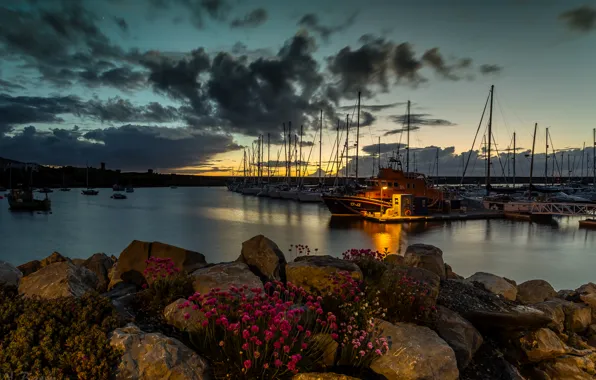 Sea, the sky, clouds, sunset, flowers, stones, shore, Bay