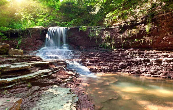 Forest, trees, stones, waterfall
