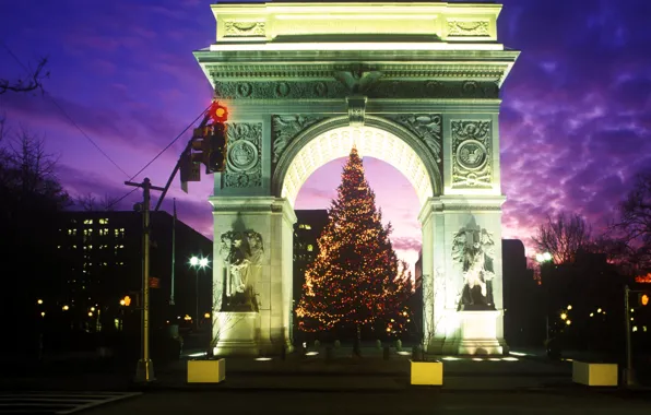 Night, tree, arch, Washington Square Park