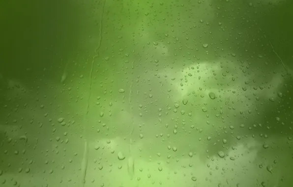 Picture droplets, rain, Green background