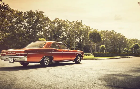 Lights, shadow, Chevrolet, wheel, 1966, Impala, rear