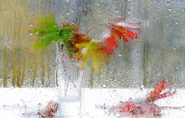 Picture glass, leaves, drops