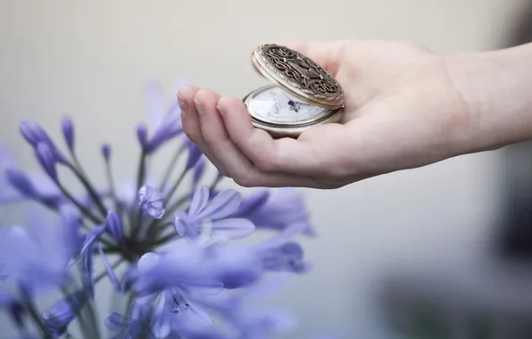 Picture flowers, watch, hand