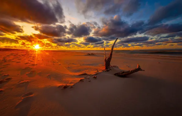 Sand, sea, beach, the sky, the sun, clouds, light, sunset