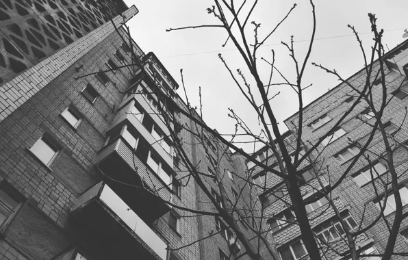 Grey, The sky, Tree, House