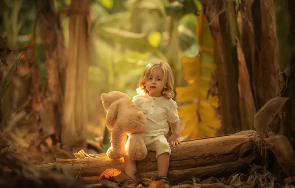 Picture forest, nature, toy, baby, bear, log, child, Keren Genish