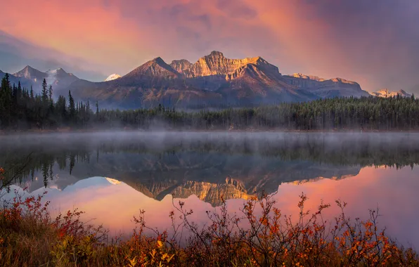 Forest, the sky, mountains, lake, shore, the slopes, pond