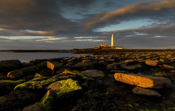 Sea, sunset, stones, shore, lighthouse