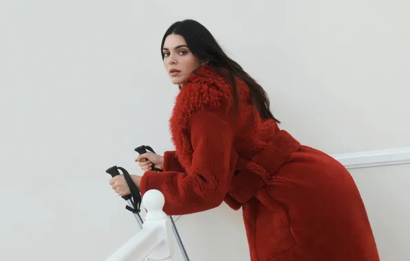 Pose, model, advertising, brunette, ladder, coat, beauty, photoshoot