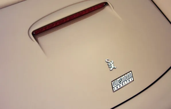 Minimalism, Logo, Car, Gecko, Gecko, Minimalism, Wiesmann Roadster MF5