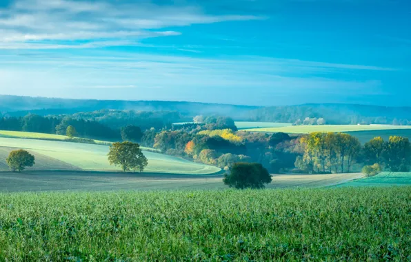Picture field, autumn, trees, nature, hills
