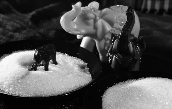 Toys, sugar, elephants, genre