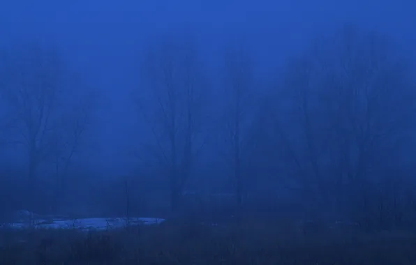 Snow, trees, nature, fog, spring, the evening, Russia, twilight
