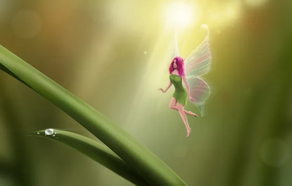 Picture girl, drops, sheet, wings, fairy, art, grass