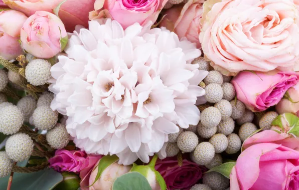 Flowers, design, plant, bouquet, floral