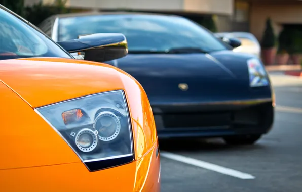 Picture orange, black, lamborghini, supercars, Murci &ampamp; Gallardo