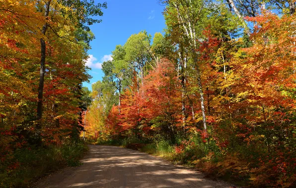 Road, autumn, forest, the sky, trees