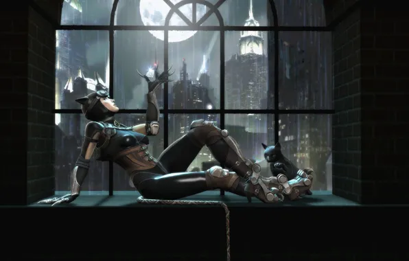 Picture cat, window, Catwoman, Catwoman, Gods Among Us, Injustice