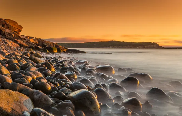 Fog, stones, shore, dal, morning, pond, stones