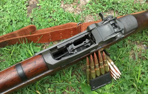 Picture rifle, clip, self-loading, M1 Garand