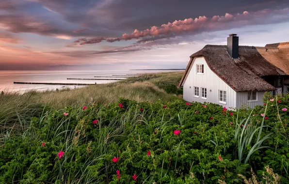 Sea, house, shore