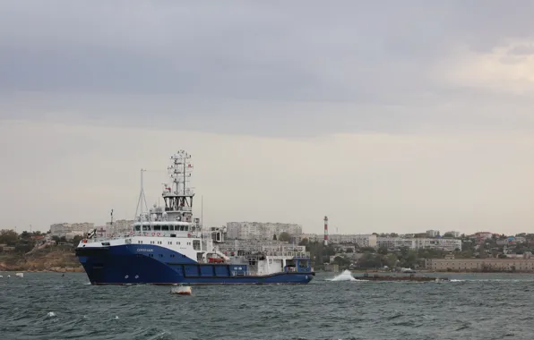 Tug, sea, lifeguard, Sergey Balk