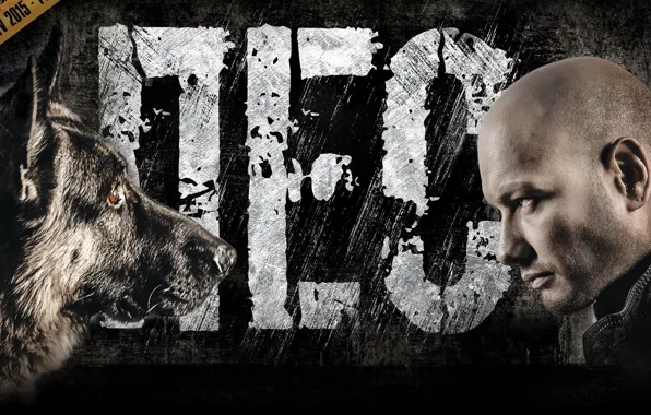 Profile, the series, poster, shepherd, Dog, TV series, Nikita Panfilov, Maxim Maximov