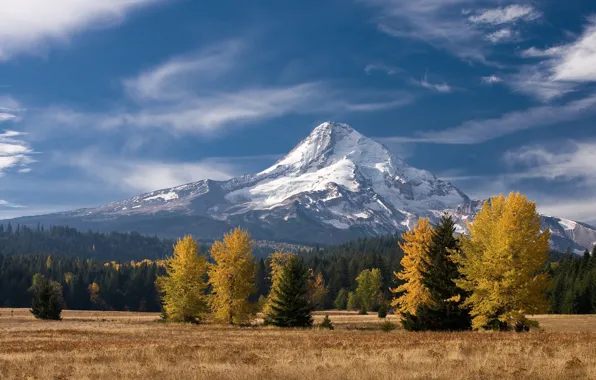 Autumn, forest, the sky, clouds, mountain, USA, Oregon, Mount Hood