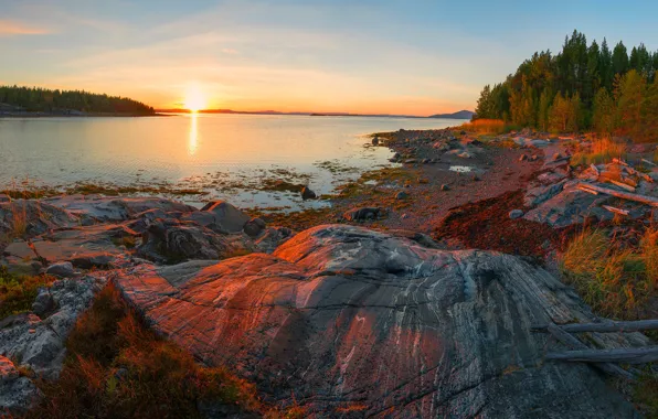 Forest, the sky, the sun, dawn, shore, morning, pond, rocky shore