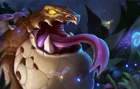 Language, toad, League of Legends, League Of Legends, Midge